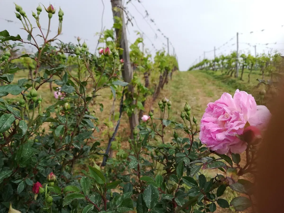 Case Di Campagna Lombardo Guest House Menfi